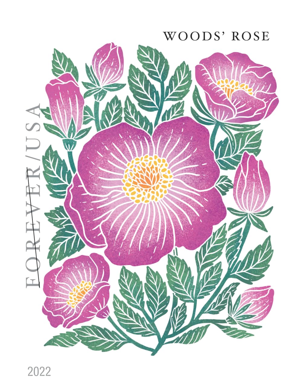 UNITED STATES POSTAL SERVICE Mountain Flora Flower Forever Postage Stamps Roll