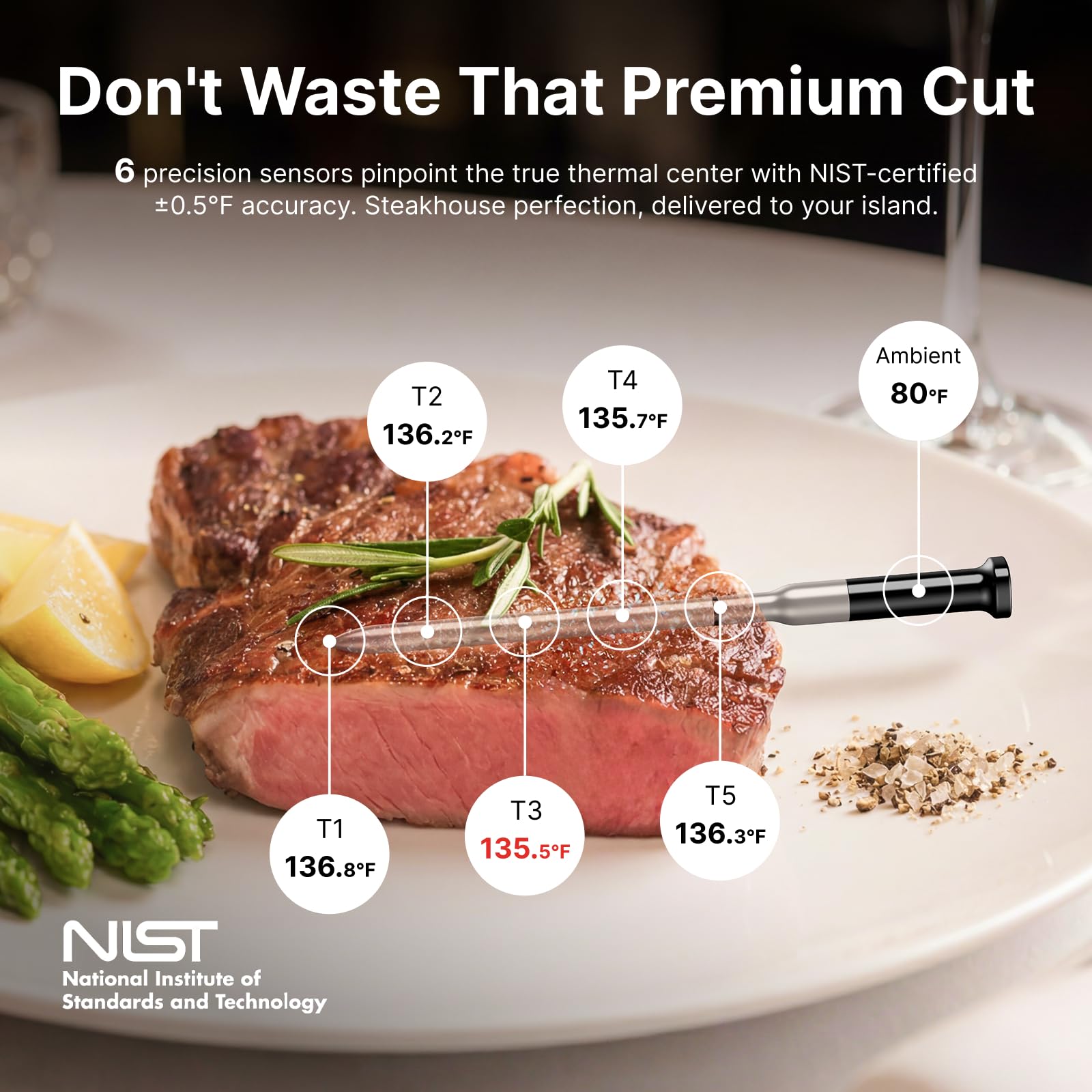 TYPHUR Sync Gold Wireless WiFi Meat Thermometer with Probes