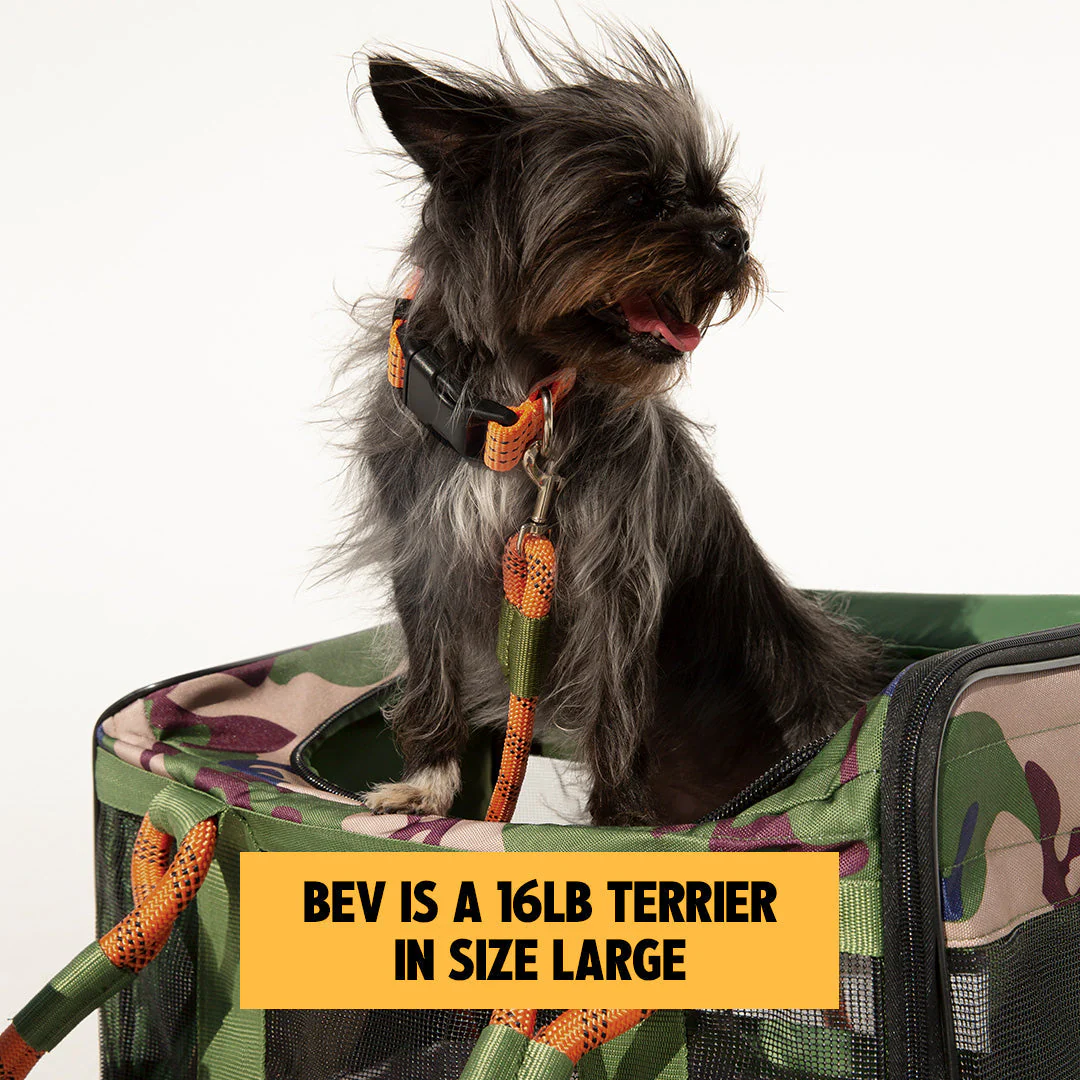 OUT-OF-OFFICE PET CARRIER PRO EDITION
