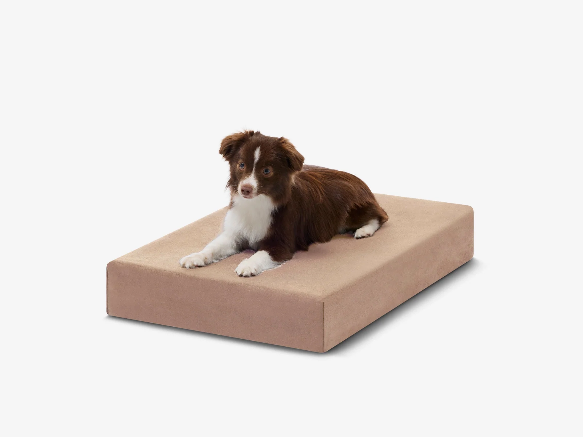 OrthoLift Crate Bed
