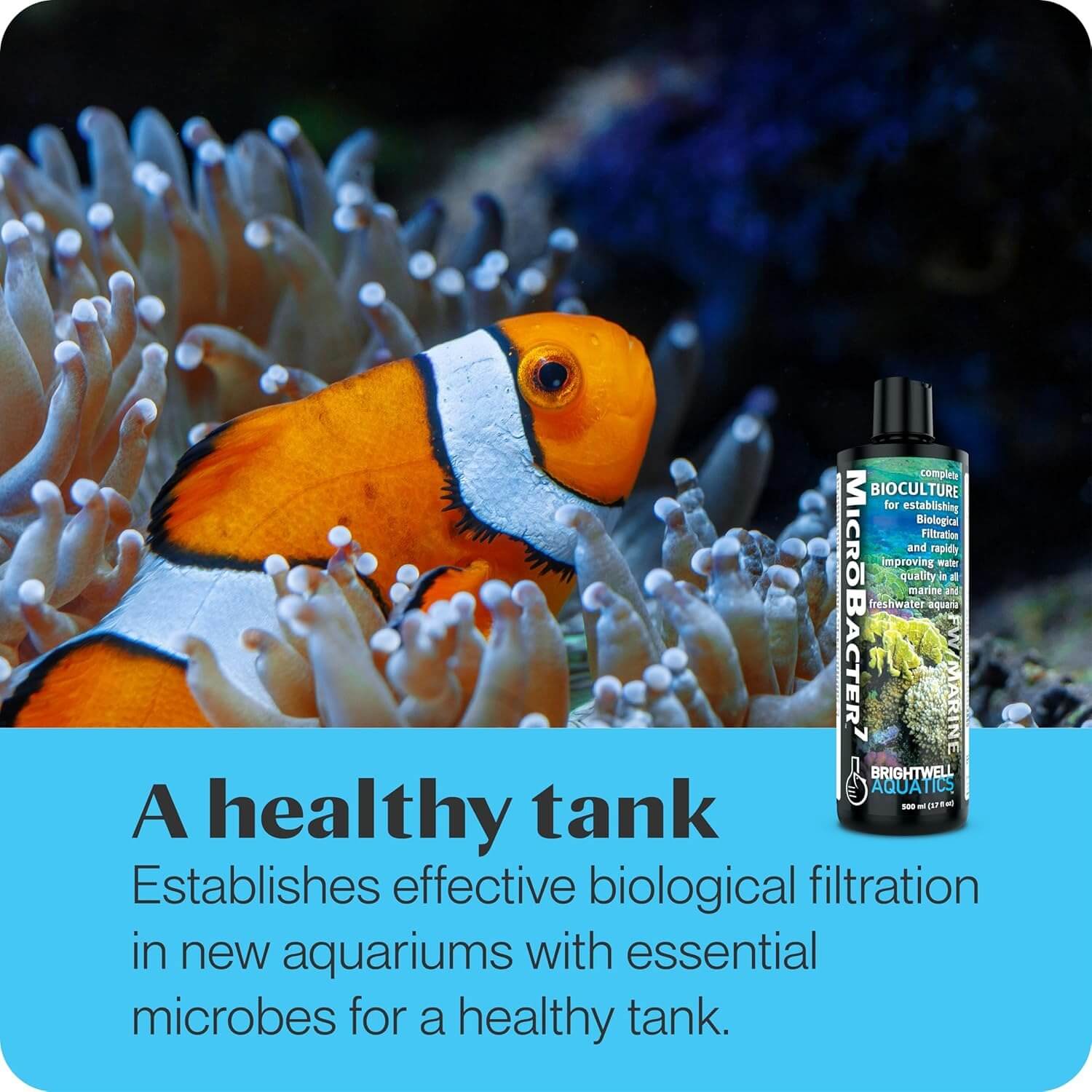 Brightwell Aquatics MicroBacter7 Complete Bioculture for Fish Tank or Aquarium - Populates Biological Filter Media for Saltwater and Freshwater Fish - Aquarium Water Treatments, 5.28 GAL