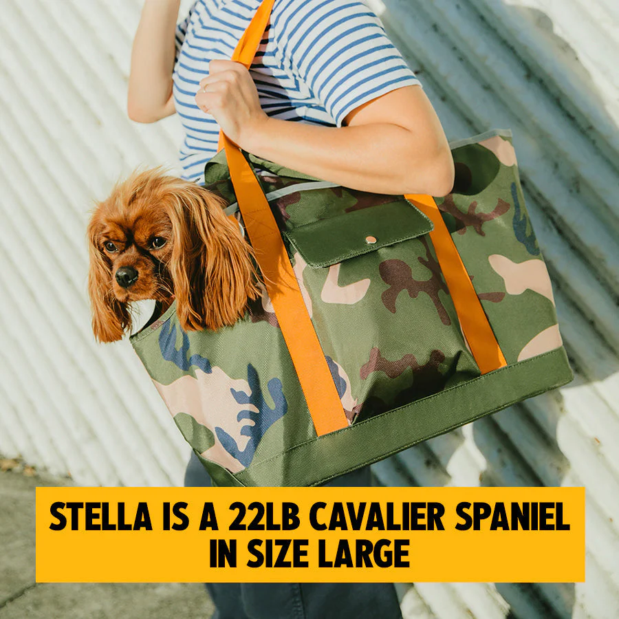 OUT-AND-ABOUT PET TOTE PRO EDITION
