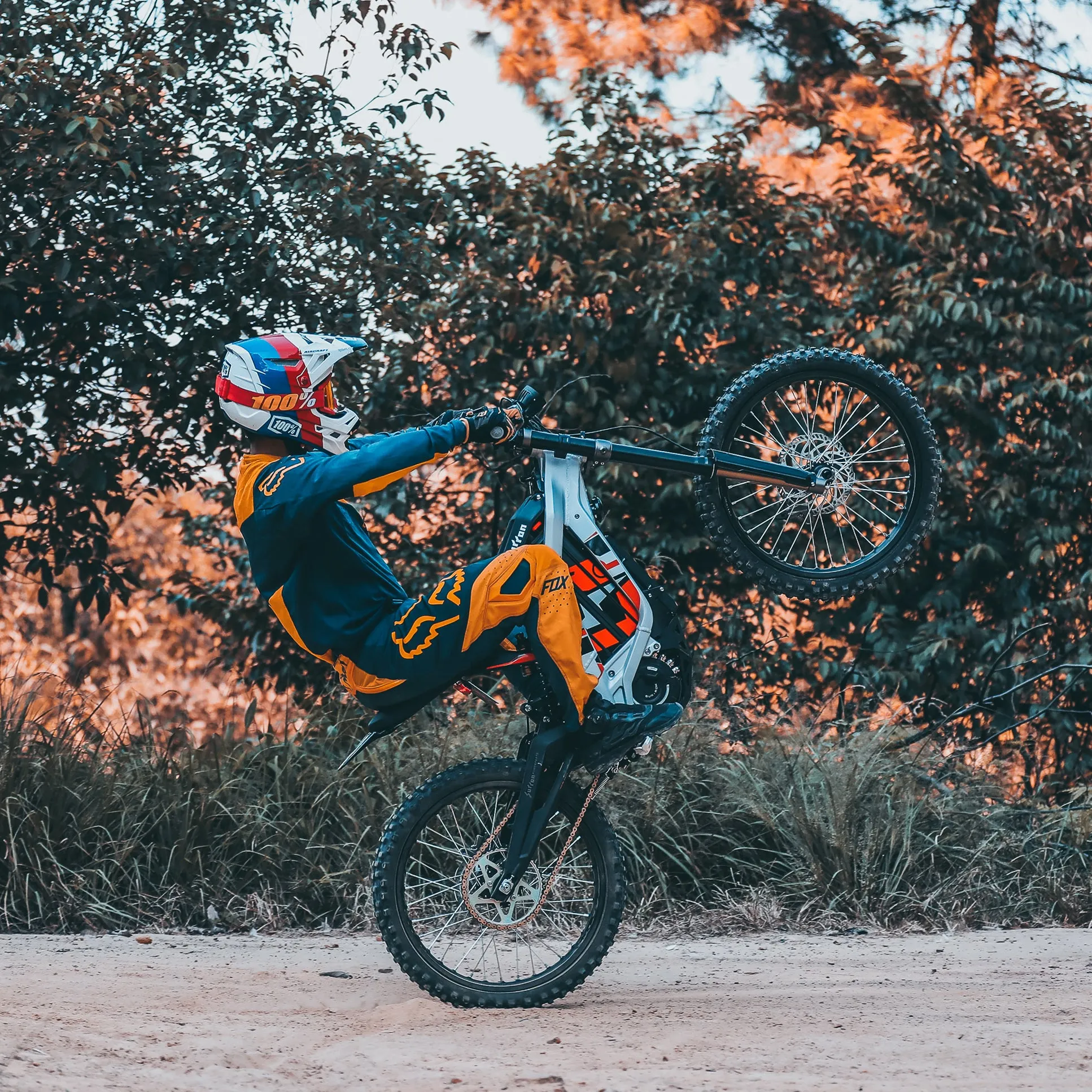 🔥ONlY Light Bee X Electric Dirt Bike