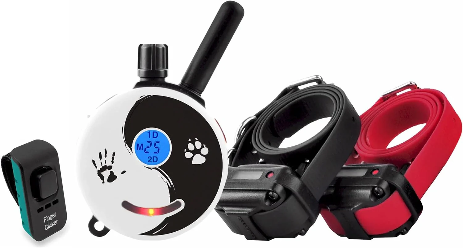 Humane Dog Training Collar with Remote, Features 100 Levels of Safe Stimulation, Tapping Sensation, Night Light, Waterproof, Rechargeable, 1 Mile 1 Dog, Black