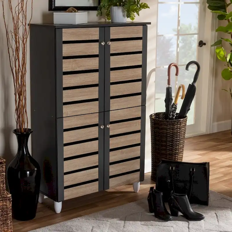 Modern Shoe Organizer Cabinet