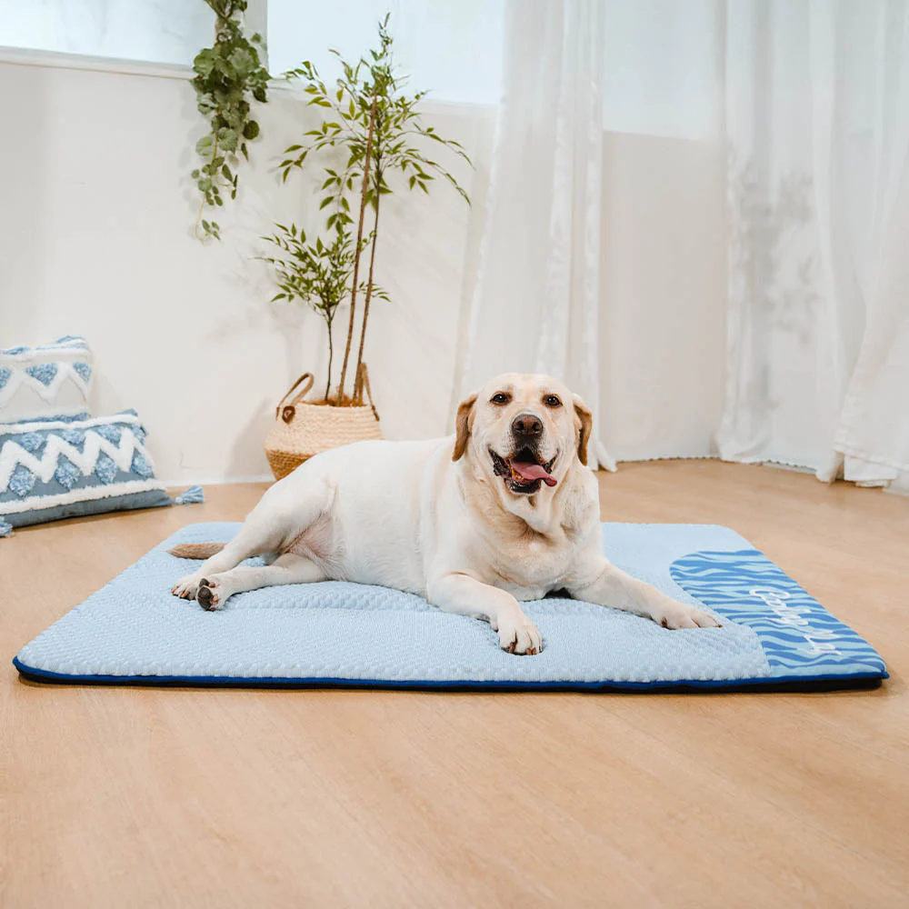 Large Washable Cooling Non-slip Dog Mat for Crate