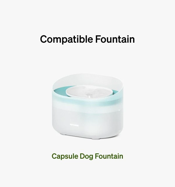 Capsule Dog Fountain Replacement Filter Subscription