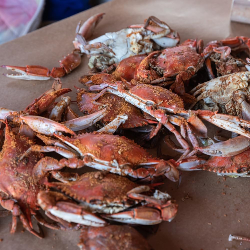 Cameron's Seafood Jumbo Maryland Blue Crabs - Extra Large Jimmys Steamed (12)
