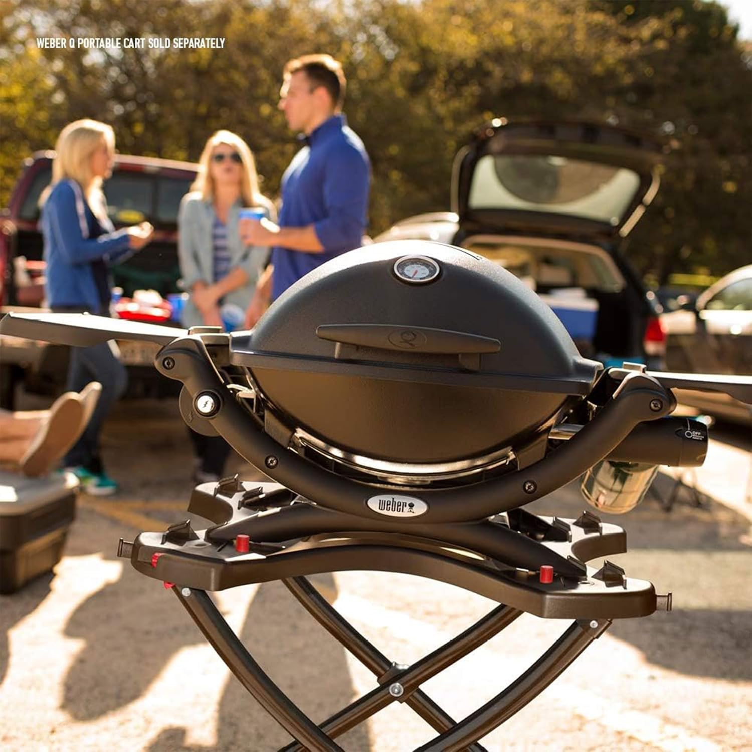 WEBER Q1200 Liquid Propane Grill - Black Outdoor Cooking