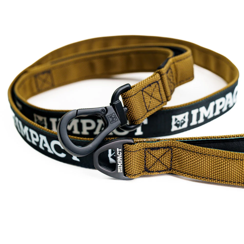 Ballistic Nylon Dog Leash