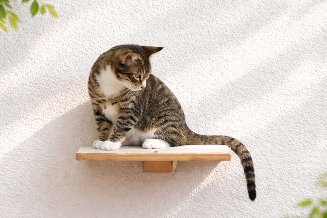 Cat Perch - Wall Mounted and Wooden