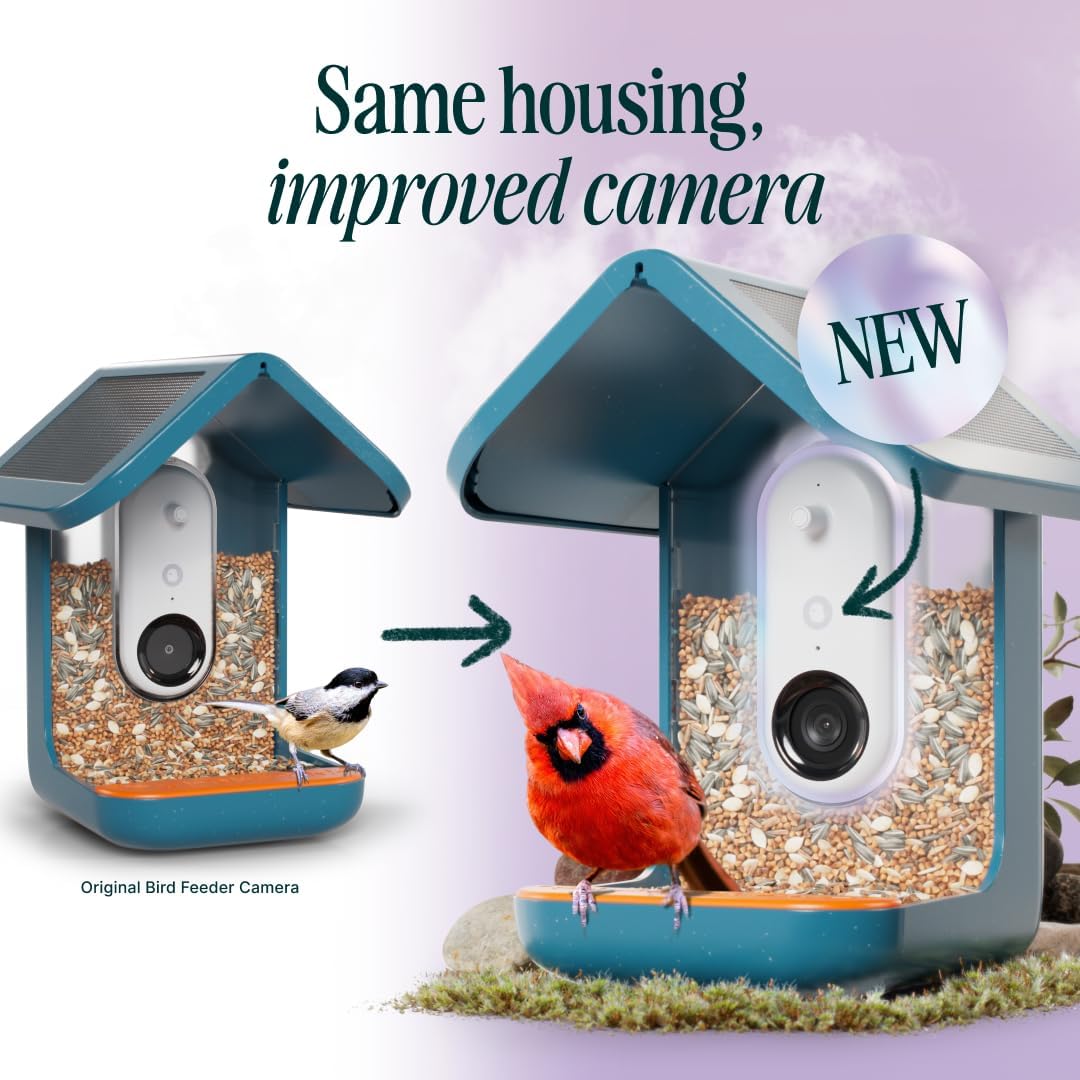 BIRD BUDDY Pro Solar Smart Bird Feeder with Camera - 2K HD Live Stream