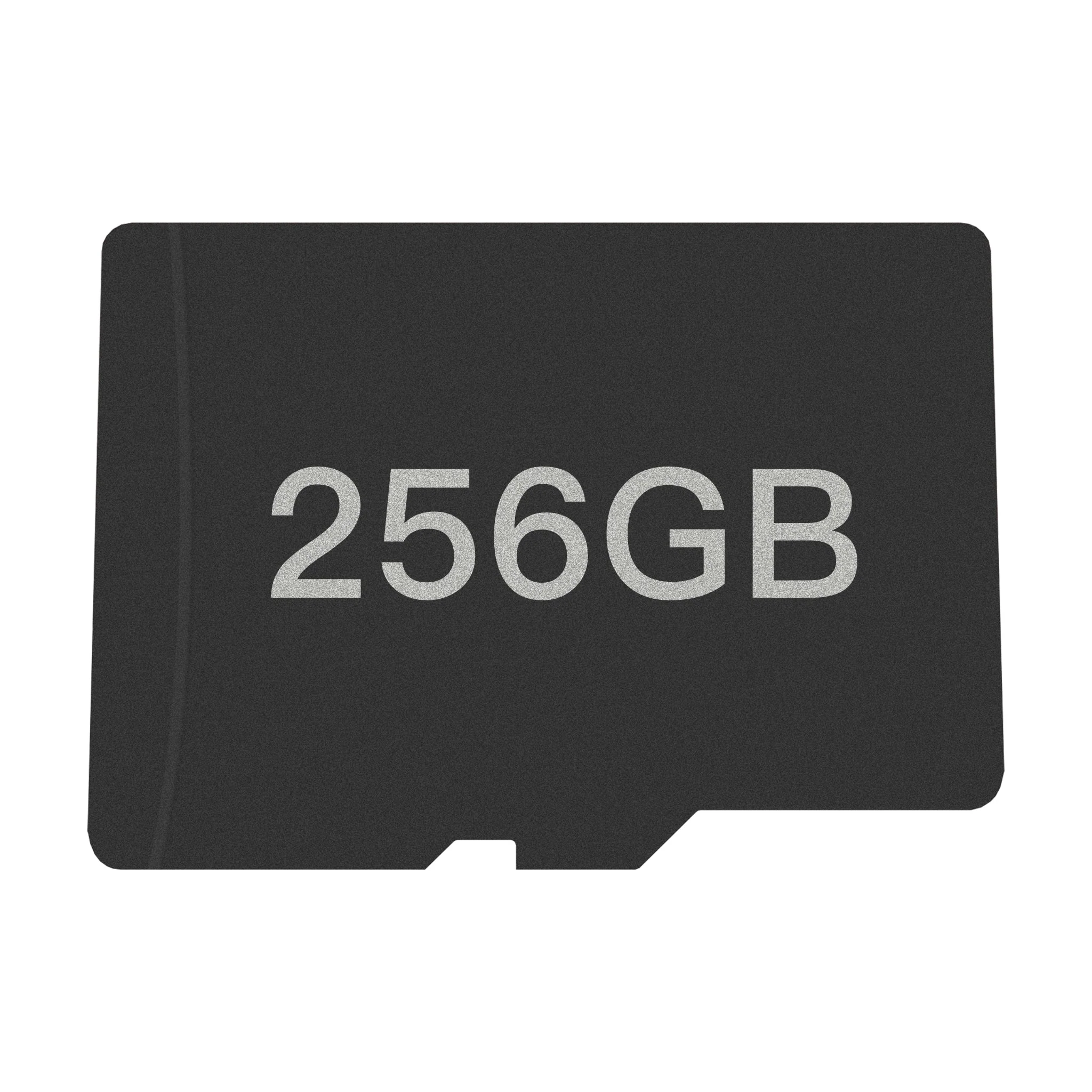 256GB SD Card
