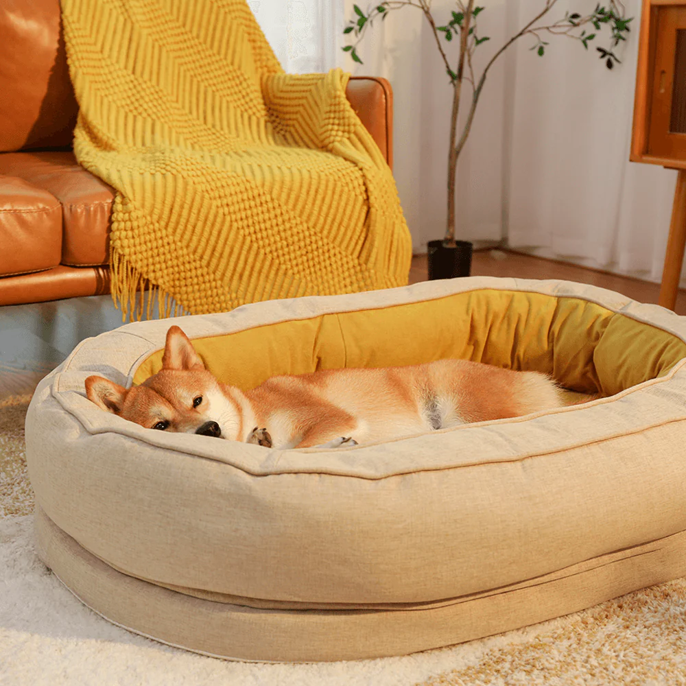 Donut Orthopedic Dog Bed - Home Office