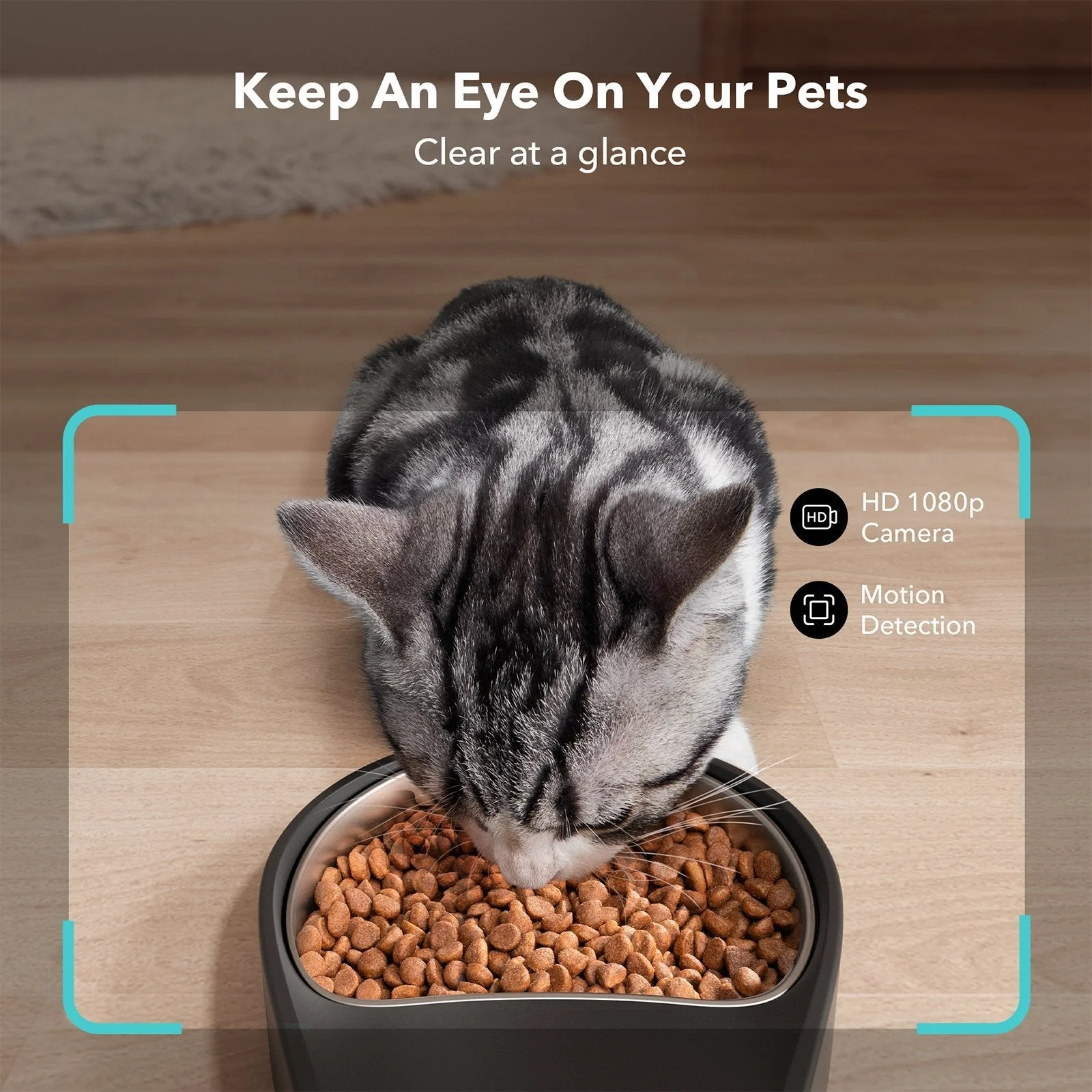 Granary Smart Camera Feeder for pet