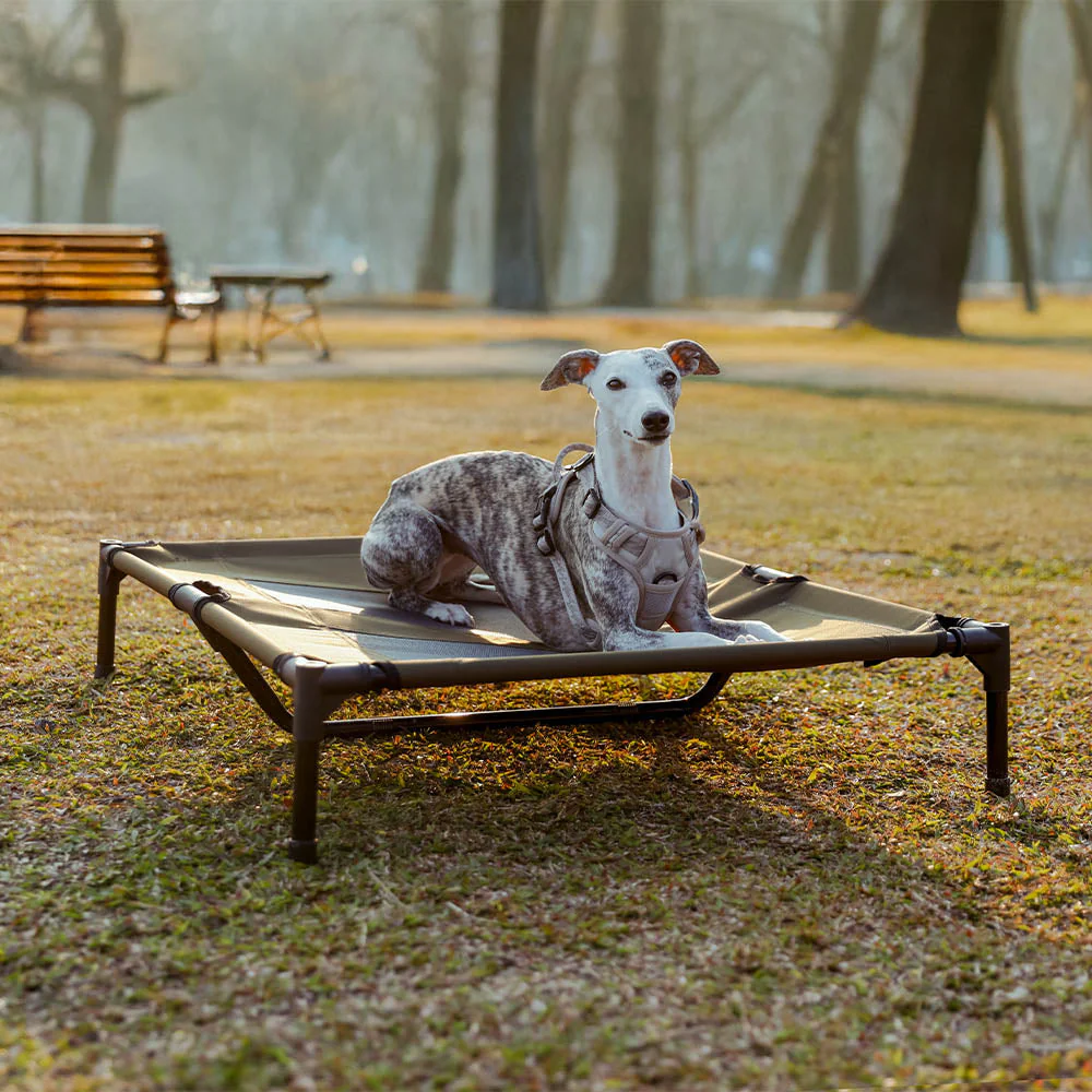 Multi-Functional Breathable Outdoor Cooling Elevated Dog Bed with Canopy Raised Dog Bed Dog Cot for Camp - PawAir