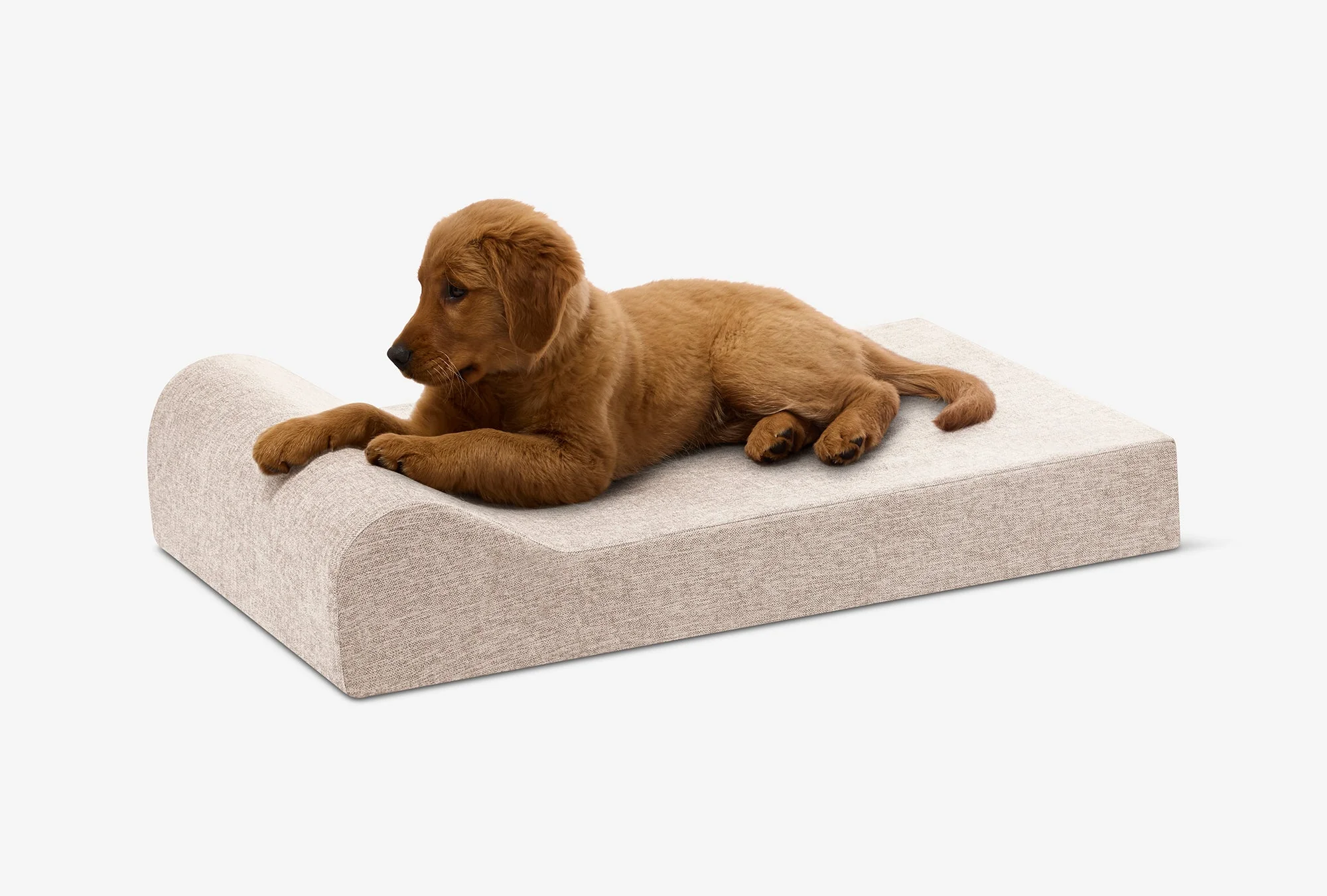 Puppy Bundle | Orthopedic Bed + Covers + Liner