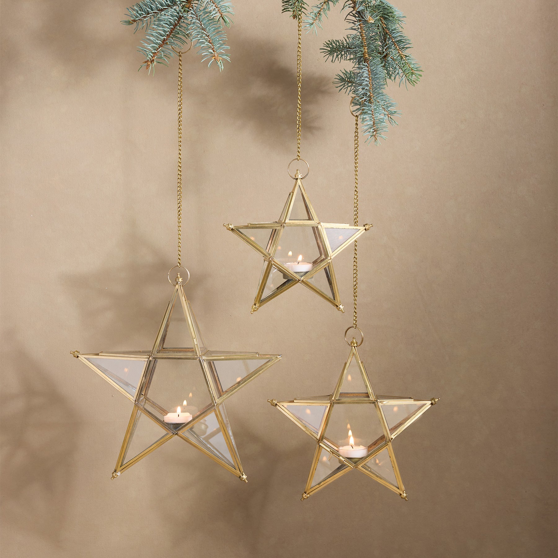 Starlit Wonder Luminary