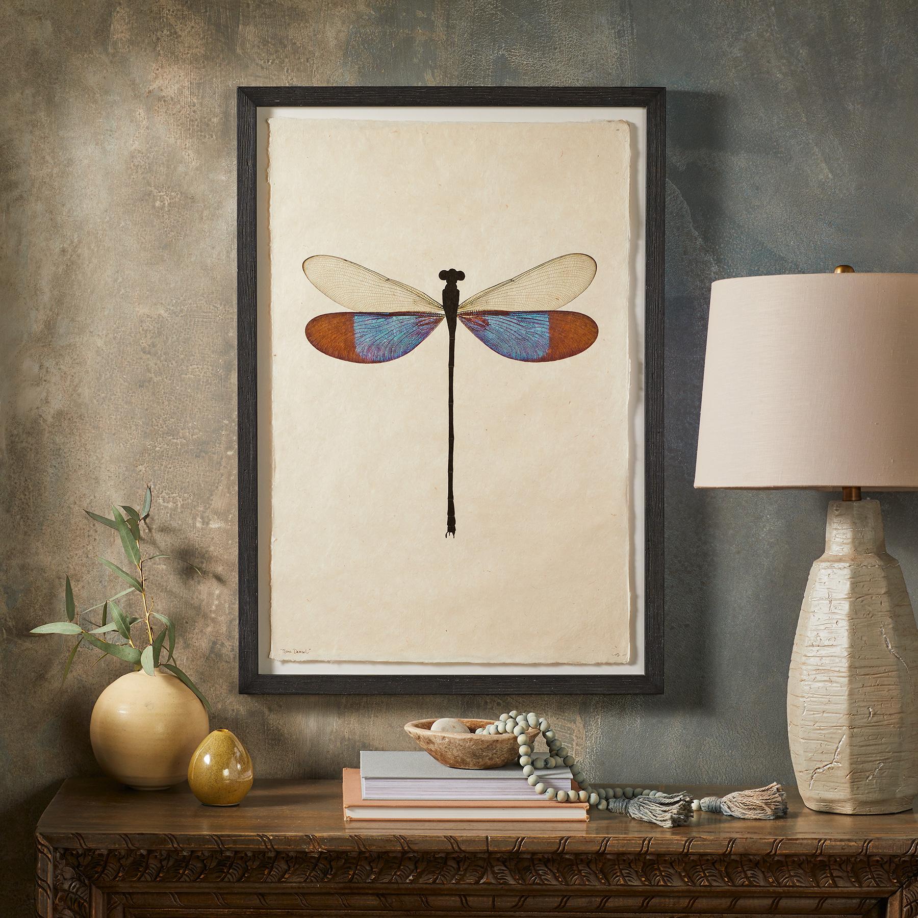 Dragonfly Studies Prints