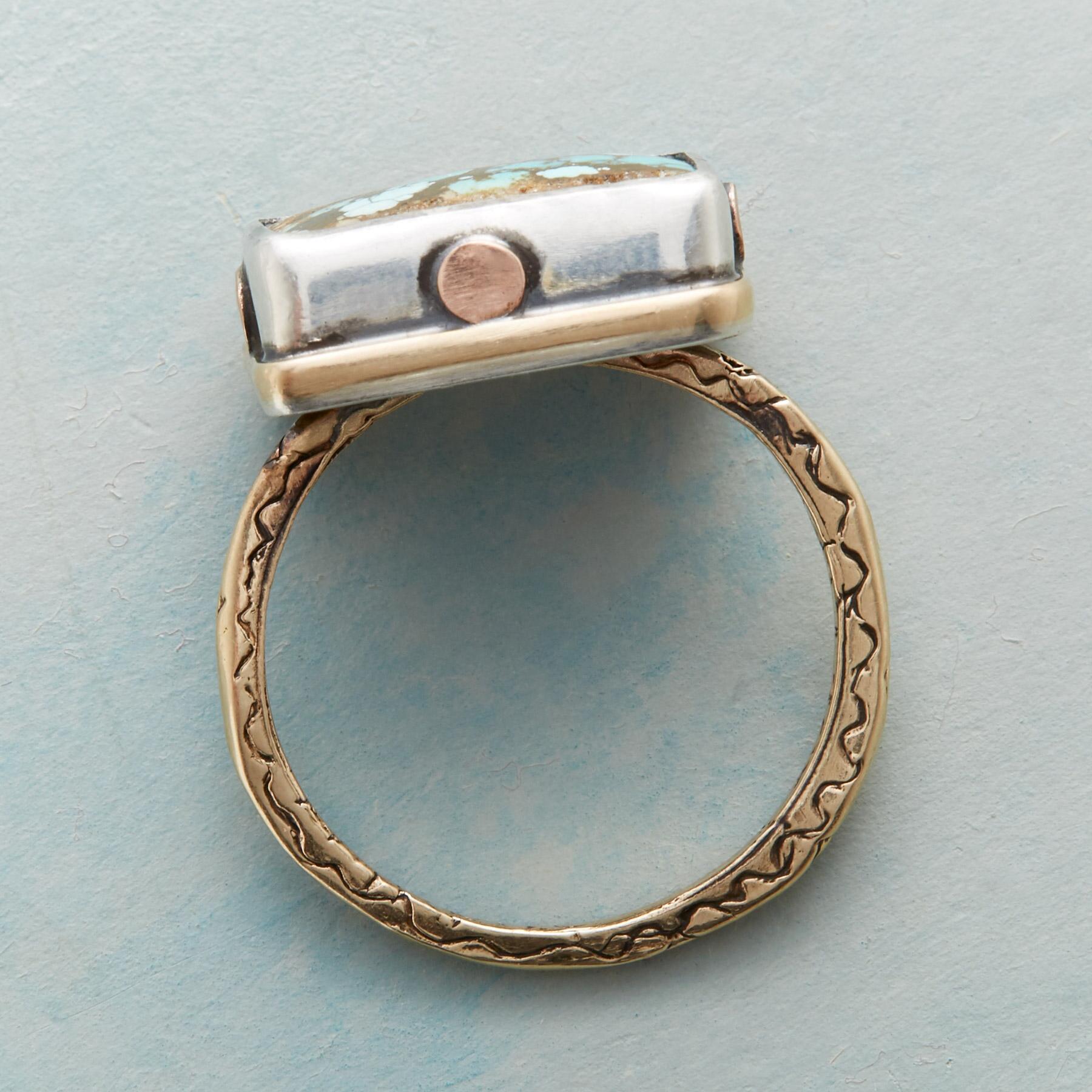 Riveting Turquoise Ring