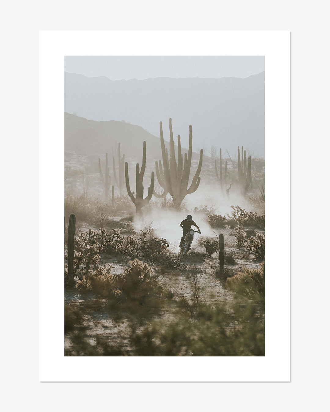Cactus Room