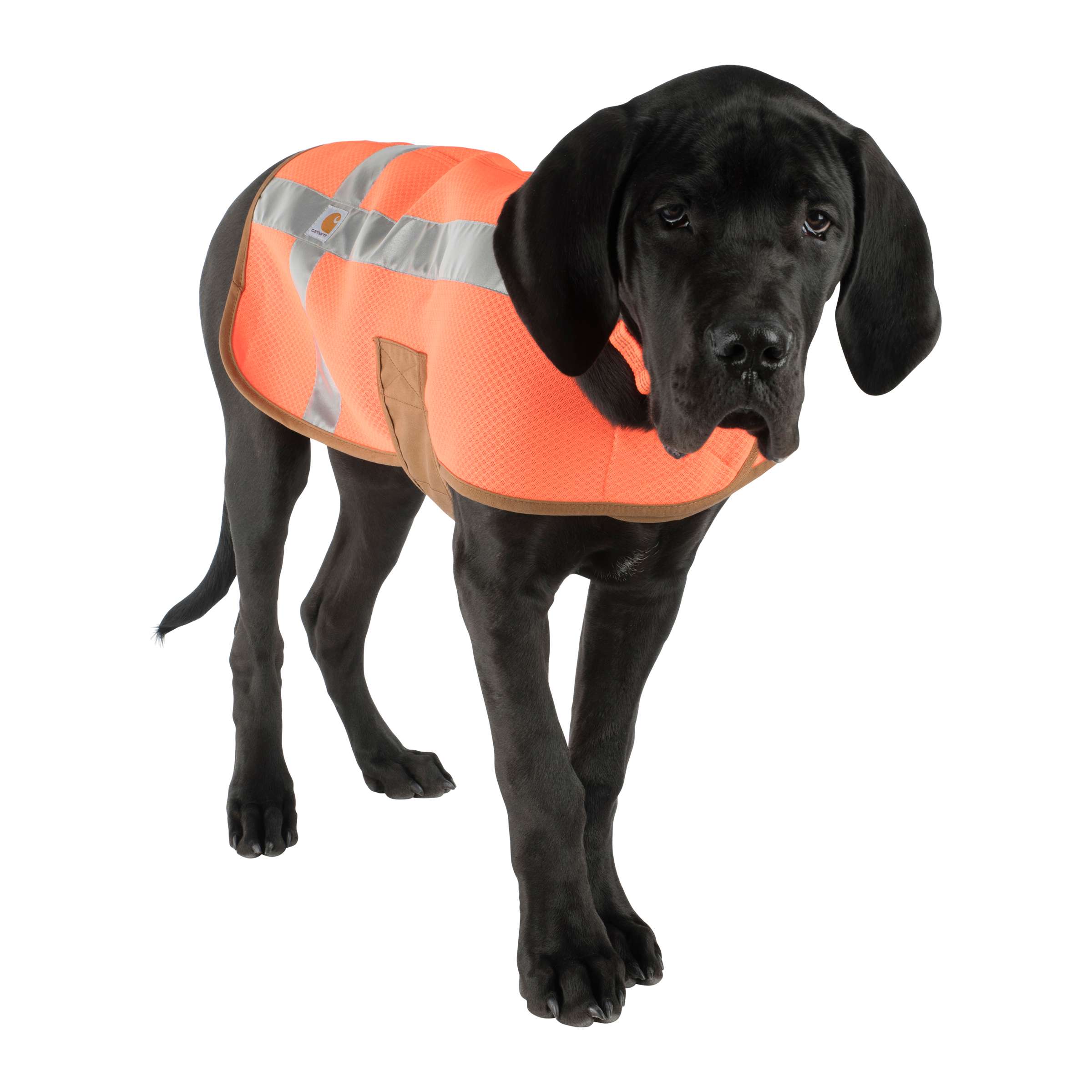 Dog Safety Vest - Carhartt Outlet