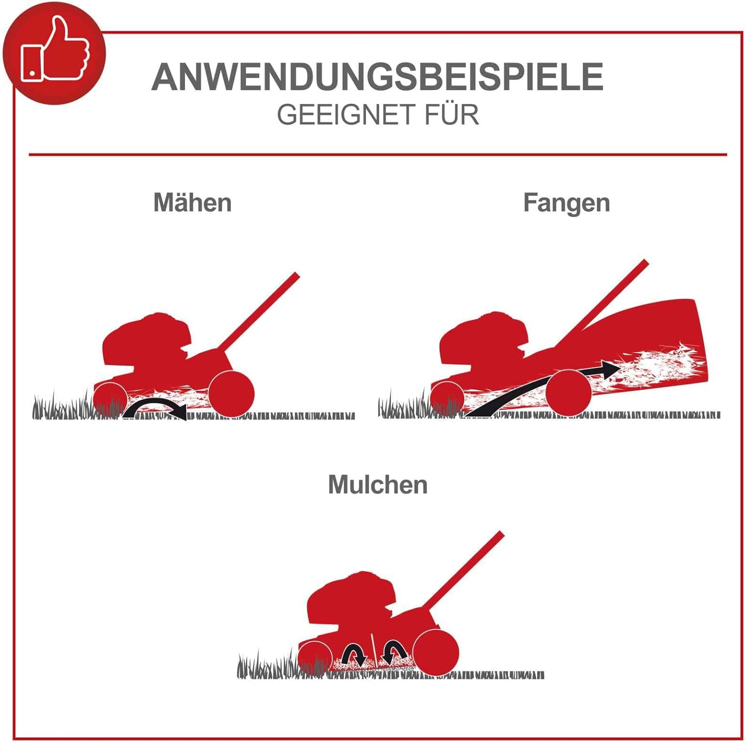 Scheppach Tondeuse à Gazon Thermique MS150-42 | Autotractée - 3,7 CV | Largeur de Coupe 42cm | Raccord Rapide de Nettoyage | Panier 45L | Hauteur - 7 Niveaux | Lame supp. + Huile Incluse