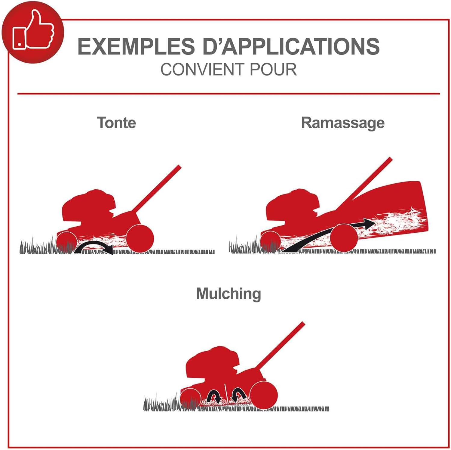 Scheppach Tondeuse à Gazon Thermique MS150-42 | Autotractée - 3,7 CV | Largeur de Coupe 42cm | Raccord Rapide de Nettoyage | Panier 45L | Hauteur - 7 Niveaux | Lame supp. + Huile Incluse