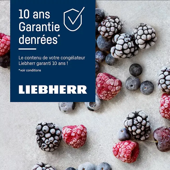 Congélateur top LIEBHERR FNdi1624