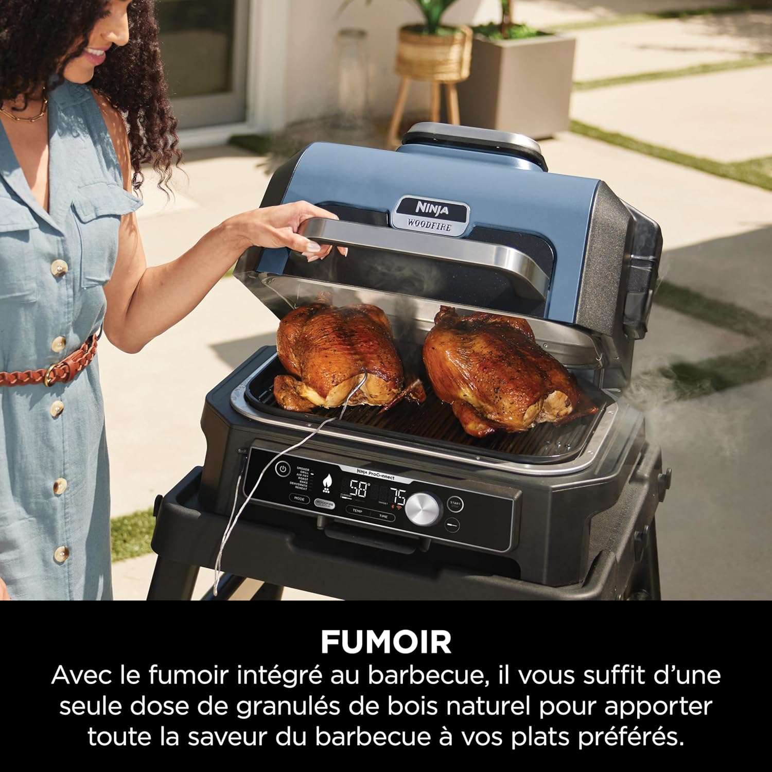 Ninja Woodfire Barbecue électrique et fumoir Pro XL avec thermomètre, barbecue et Air fryer d'extérieur 4-en-1 avec système Smart Cook et granulés Woodfire, portatif, gris/noir, OG850EU