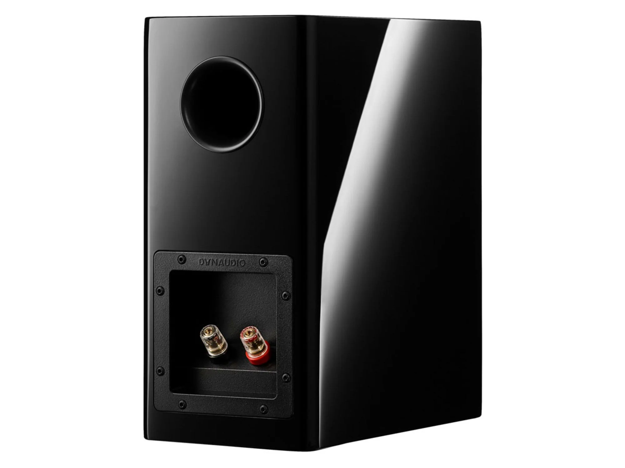 DYNAUDIO EVOKE 10 (la paire)