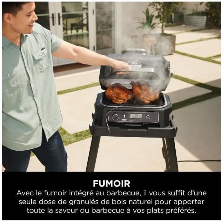 Ninja Woodfire Barbecue électrique et fumoir Pro XL avec thermomètre, barbecue et Air fryer d'extérieur 4-en-1 avec système Smart Cook et granulés Woodfire, portatif, gris/noir, OG850EU