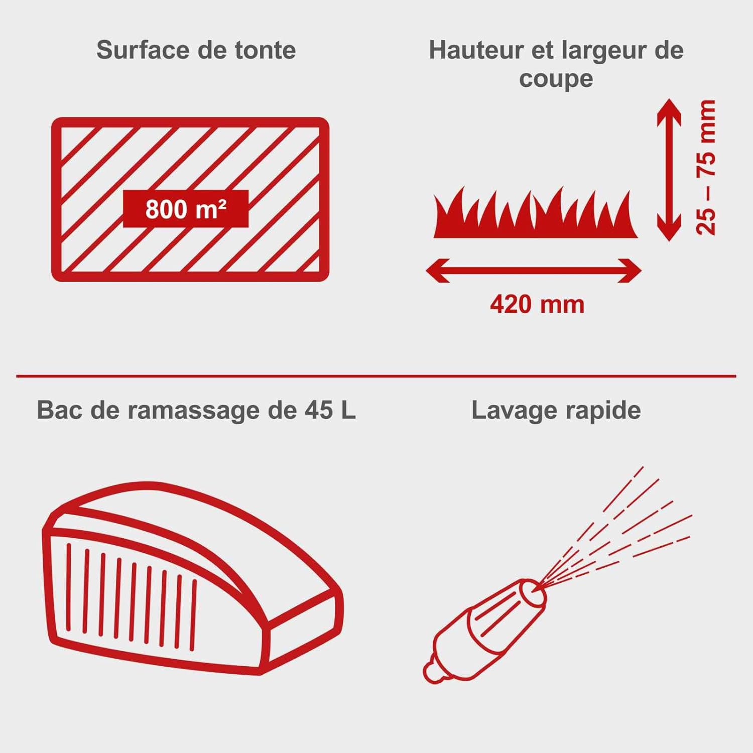 Scheppach Tondeuse à Gazon Thermique MS150-42 | Autotractée - 3,7 CV | Largeur de Coupe 42cm | Raccord Rapide de Nettoyage | Panier 45L | Hauteur - 7 Niveaux | Lame supp. + Huile Incluse