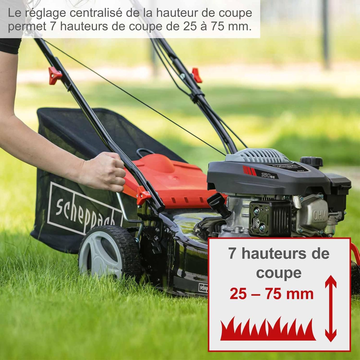 Scheppach Tondeuse à Gazon Thermique MS150-42 | Autotractée - 3,7 CV | Largeur de Coupe 42cm | Raccord Rapide de Nettoyage | Panier 45L | Hauteur - 7 Niveaux | Lame supp. + Huile Incluse