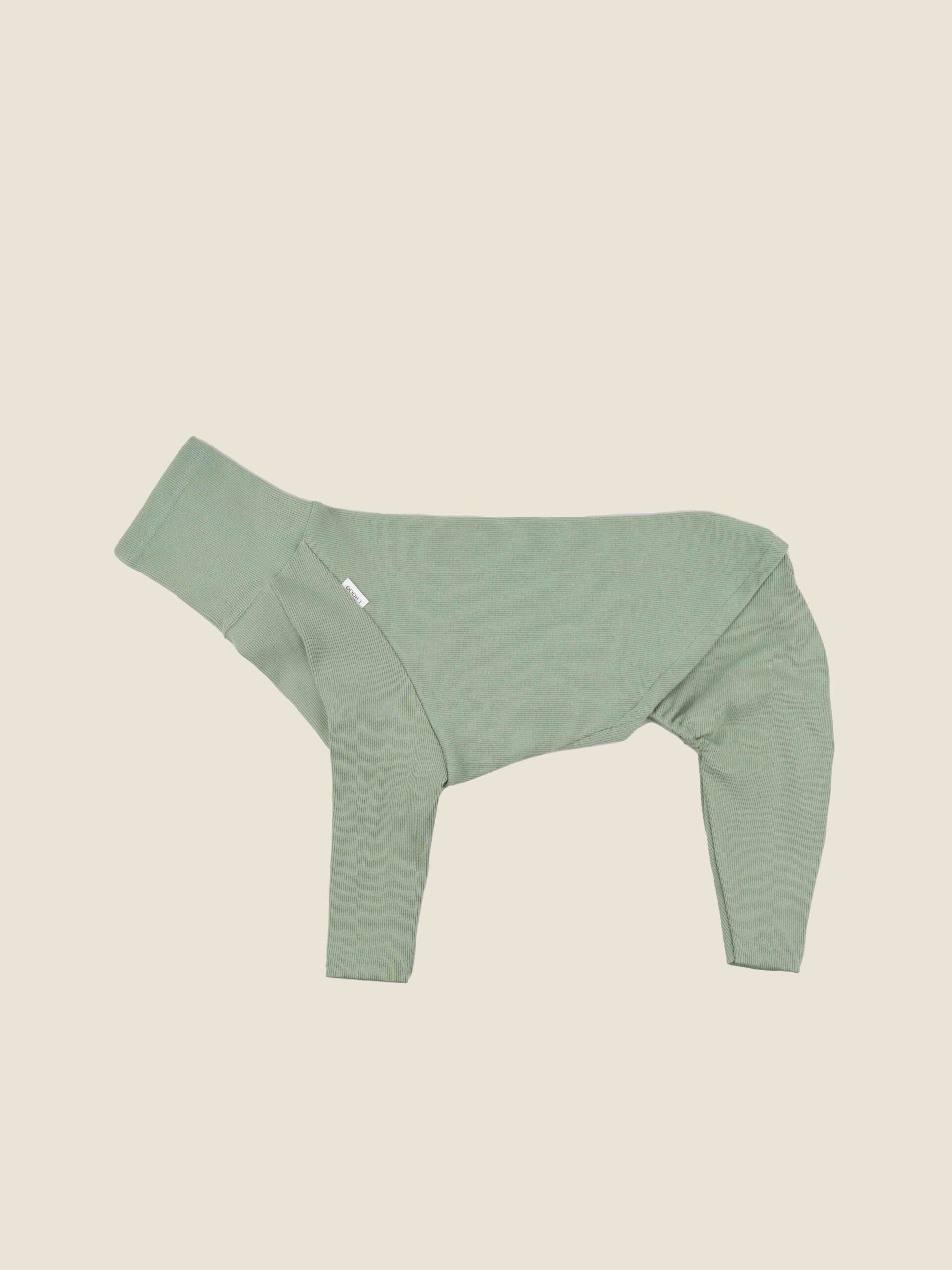 winter suit | mint
