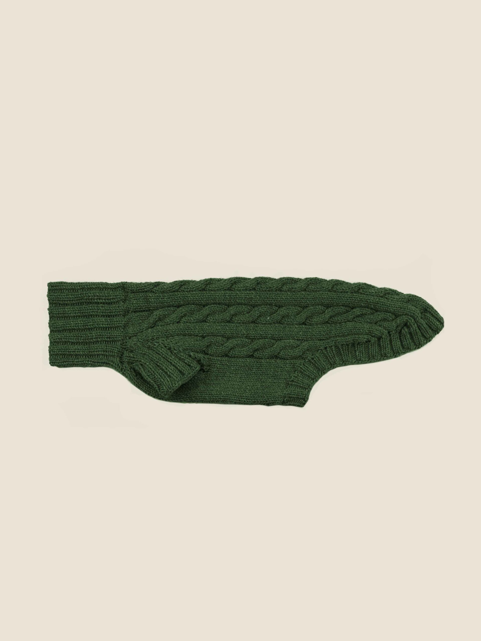Sweater | forest