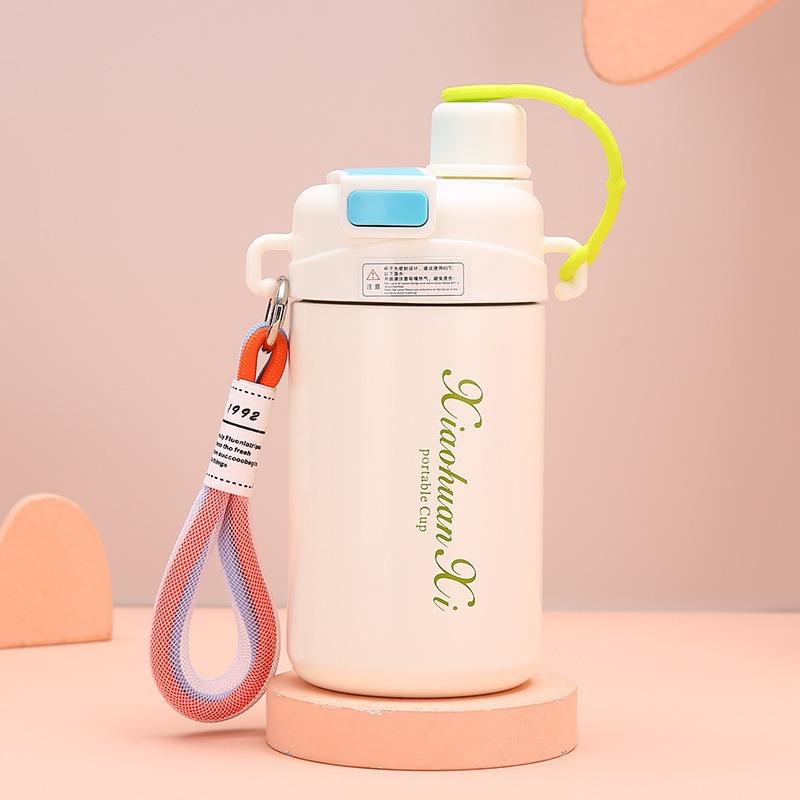 Portable Insulated Water Bottle