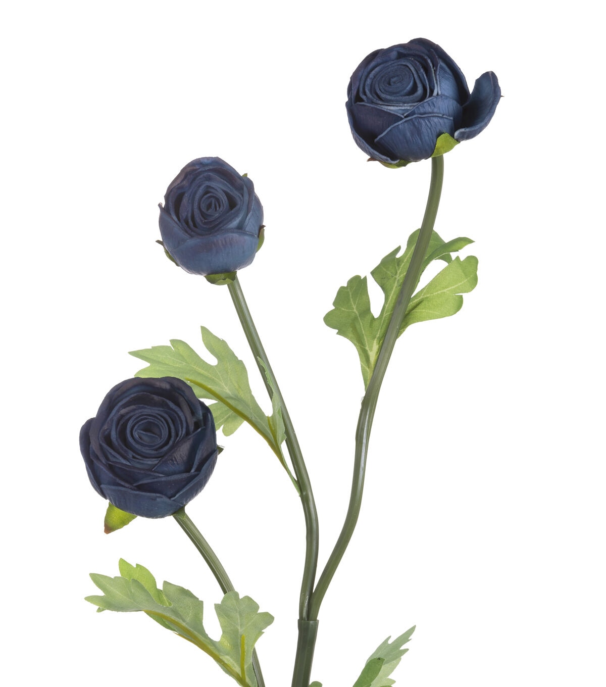 24.5 Blue Ranunculus Stem by Bloom Room