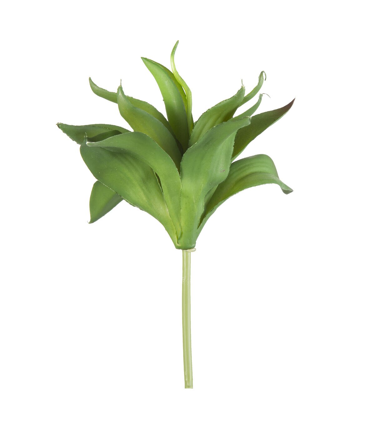 10 Agave Succulent Pick by Bloom Room