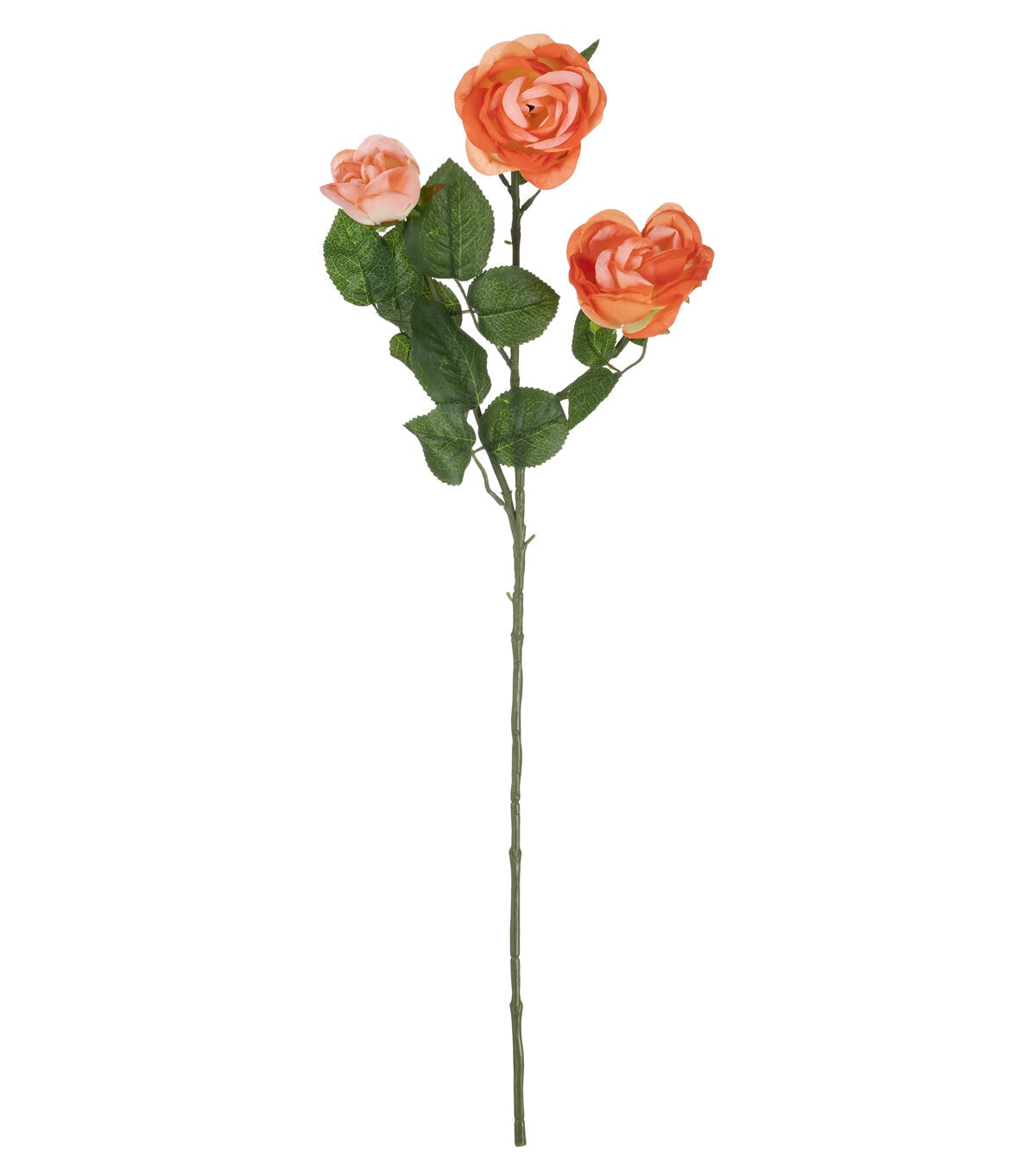 31 Peach Cabbage Rose Stem by Bloom Room