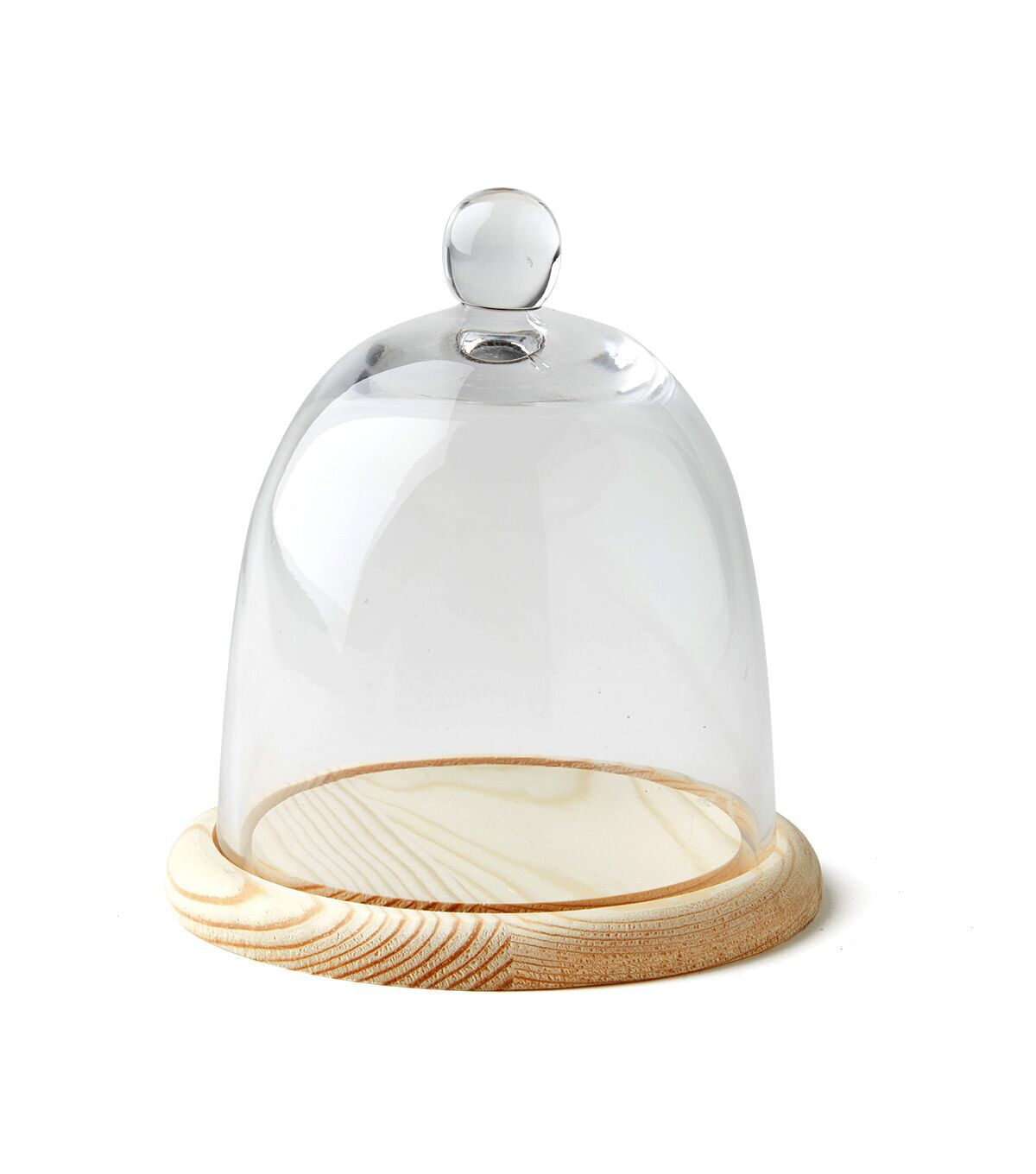 6 Dome Handle Top Glass Terrarium by Park Lane