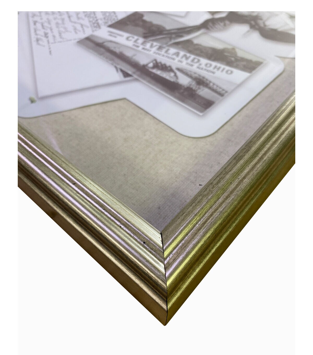 14 x 18 Rounded Elle Gold Champagne Shadowbox by Place & Time