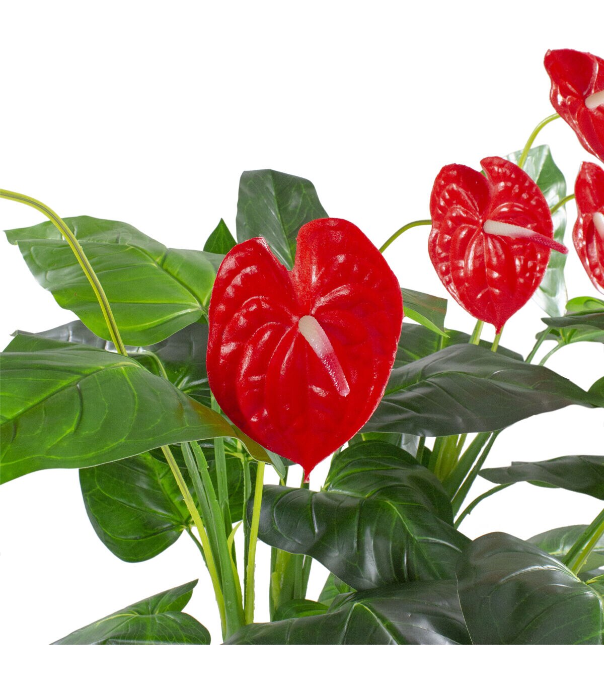 Northlight 41 Red and Black Potted Tropical Artificial Anthurium Plant
