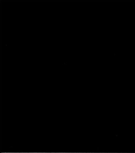 Sateen Cotton Fabric Solids