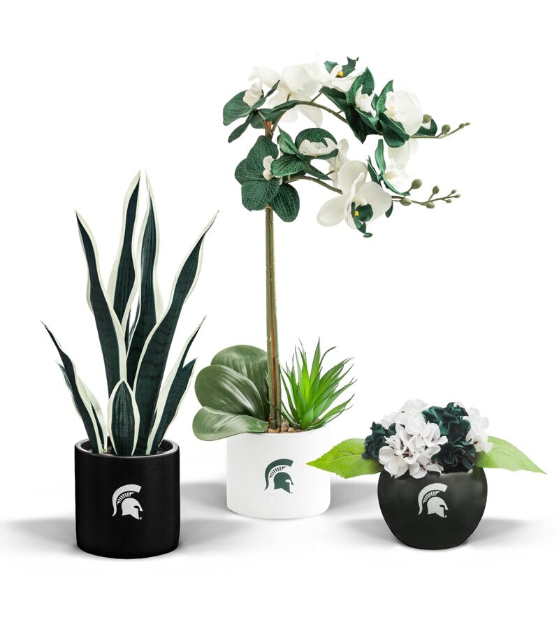 Forever Leaf 3pc Michigan State Snake With Orchid & Hydrangea Plants
