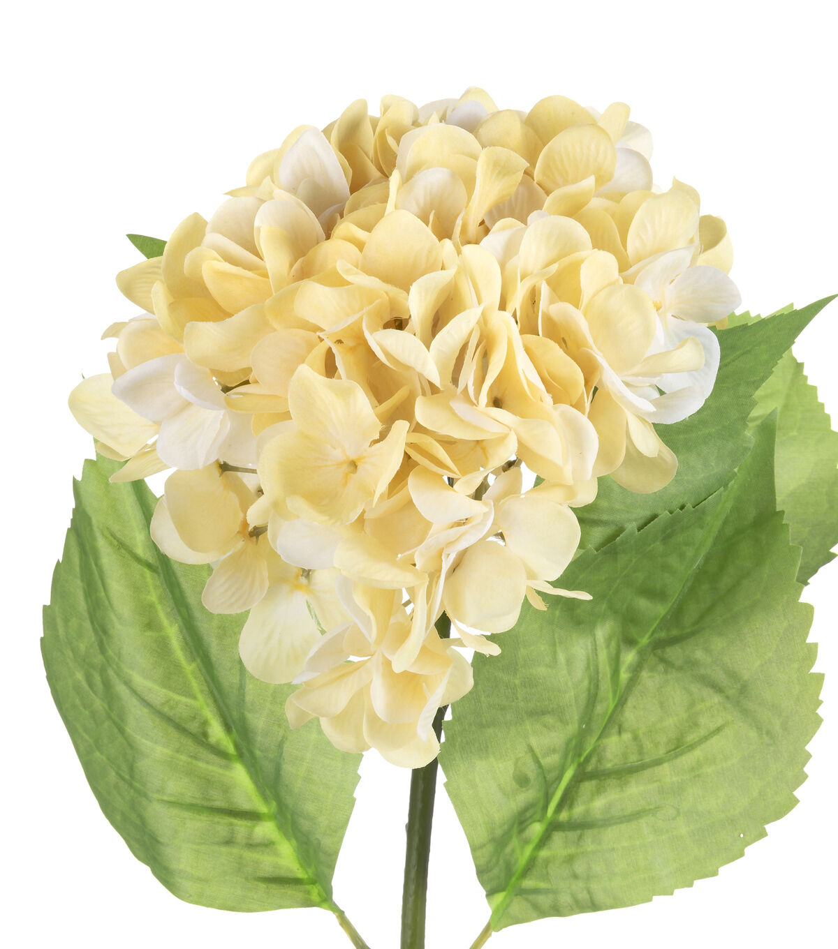 28.5 Yellow Hydrangea Stem by Bloom Room