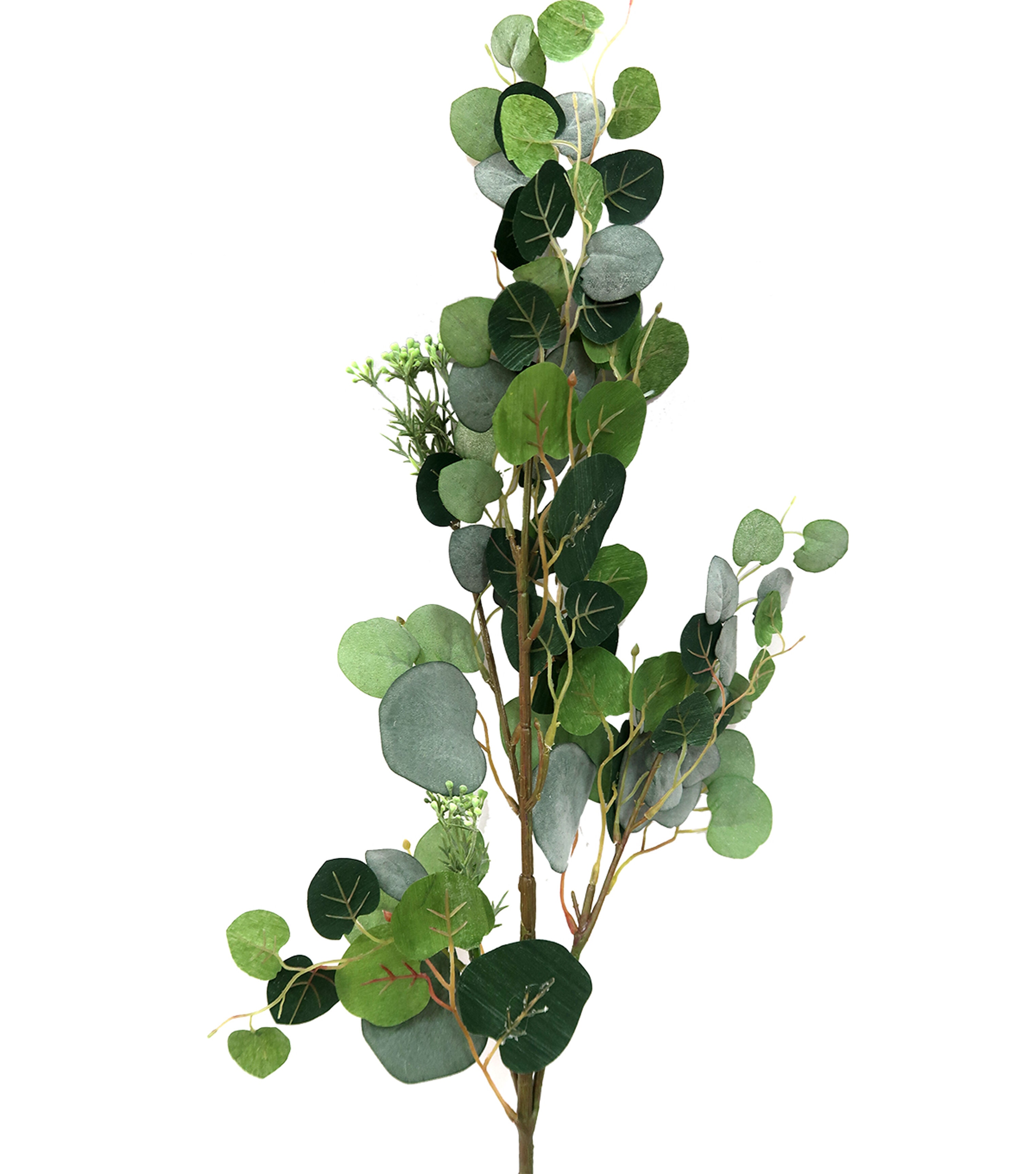 32 Green Eucalyptus Stem by Bloom Room