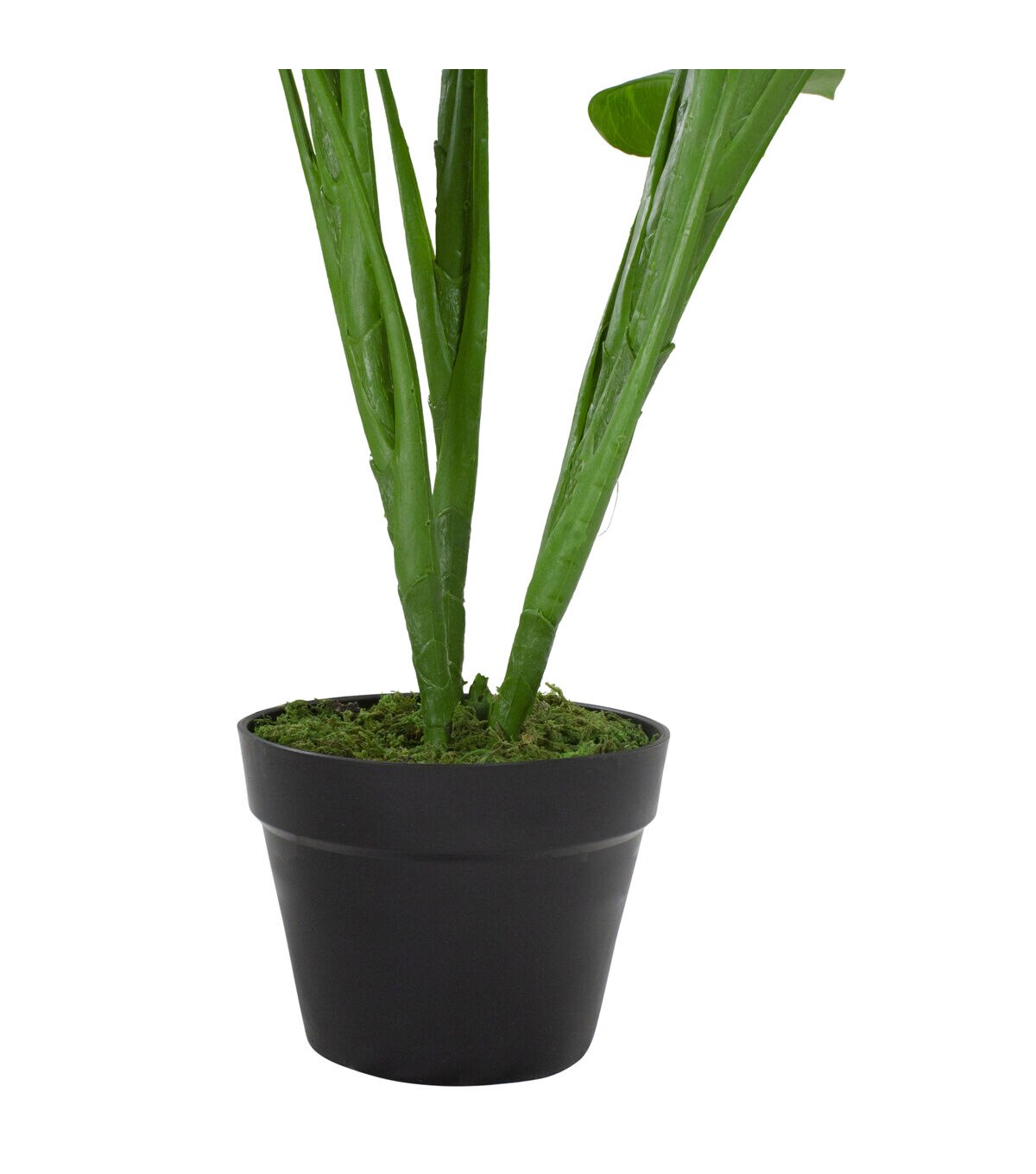 Northlight 41 Red and Black Potted Tropical Artificial Anthurium Plant