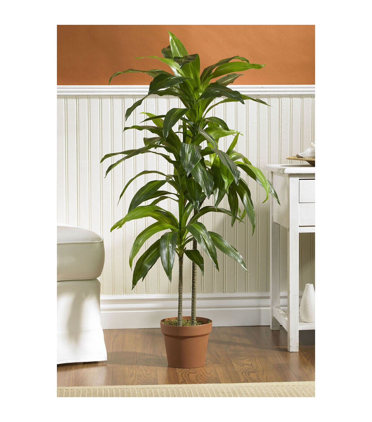 Nearly Natural Dracanea Silk Plant