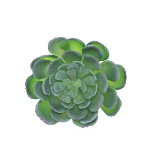 Flora Bunda 6ct Artificial Echeveria Powder Succulent Plants